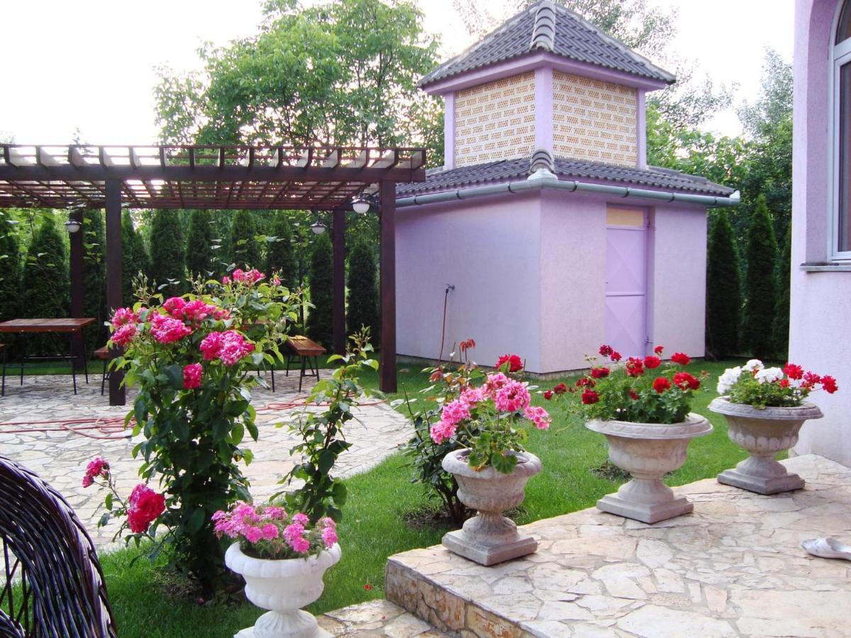 Vila Madams - Palic-Serbia Exterior photo